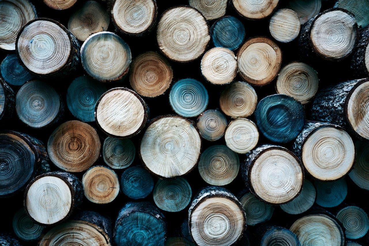 Sectional oak dismantle — Cranleigh, Surrey